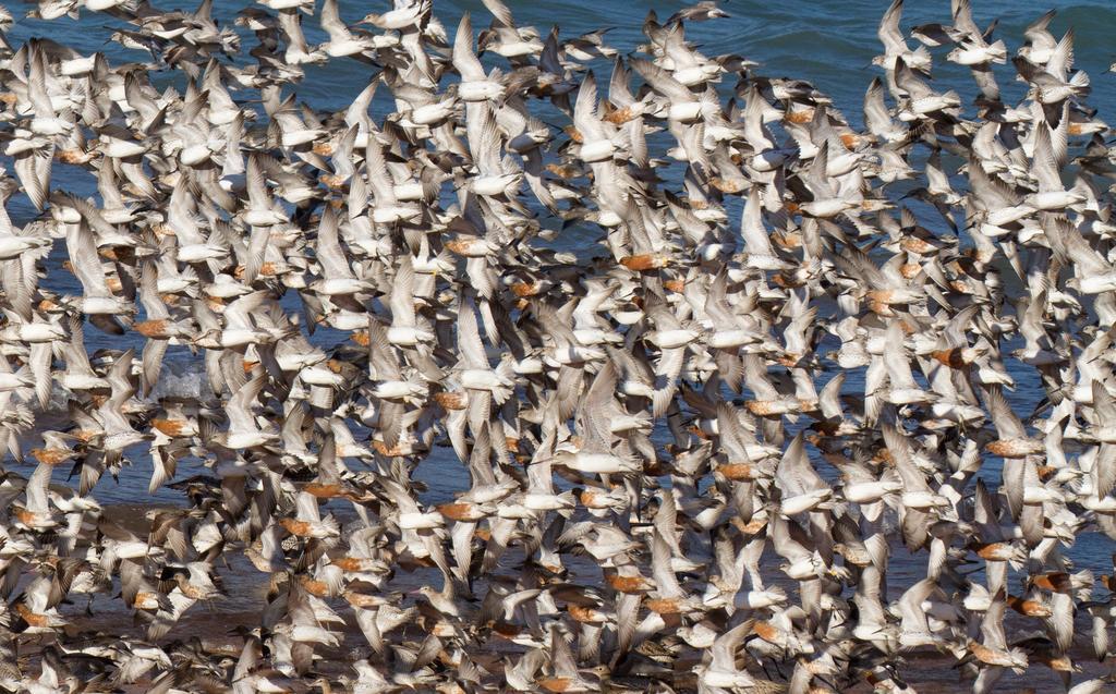Broome Bird Observatory Экстерьер фото