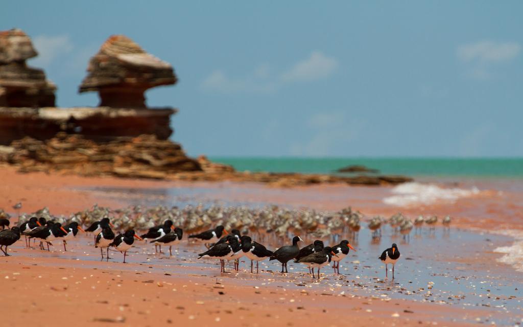Broome Bird Observatory Экстерьер фото